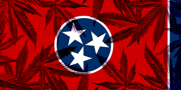 Tennessee’s Hemp Law Has Changed: How This Affects You