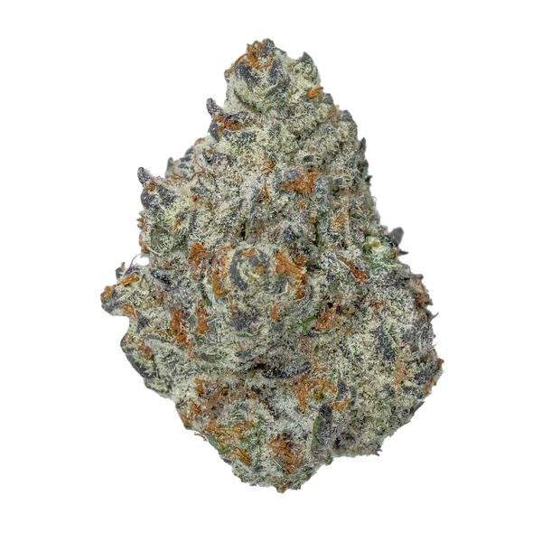 Flower-ICC_grande.png?v=1769099985